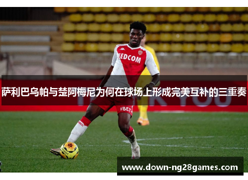 萨利巴乌帕与楚阿梅尼为何在球场上形成完美互补的三重奏