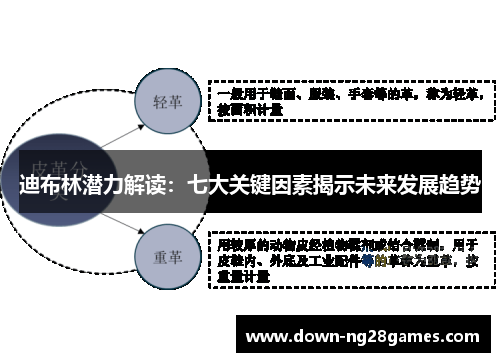 迪布林潜力解读：七大关键因素揭示未来发展趋势